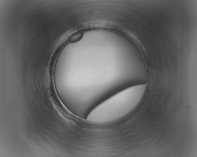 X0000081450678200701121015