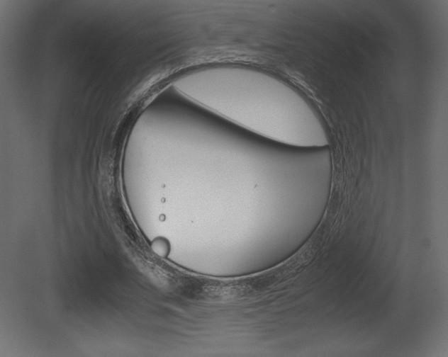 X0000081450679200701121015