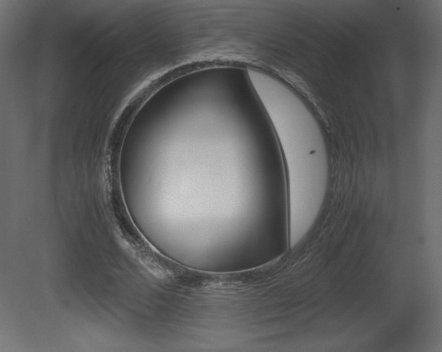 X0000081450680200701121015
