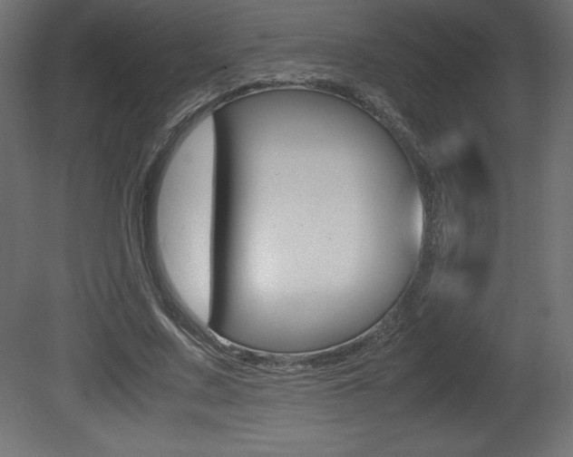 X0000081450683200701121015