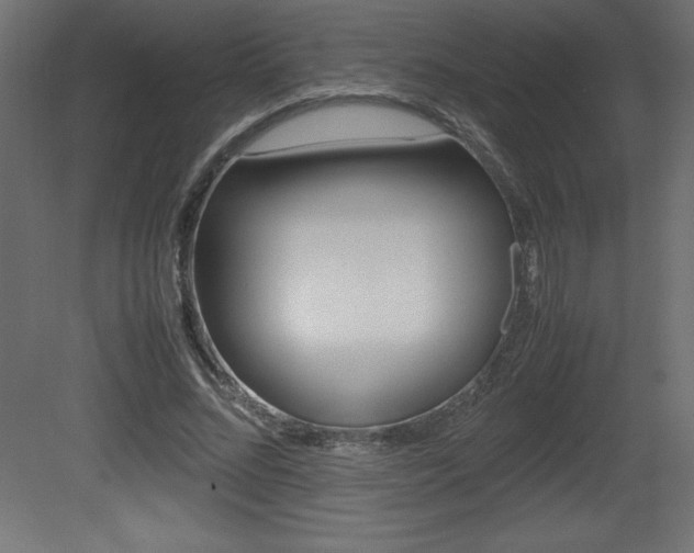 X0000081450684200701121015