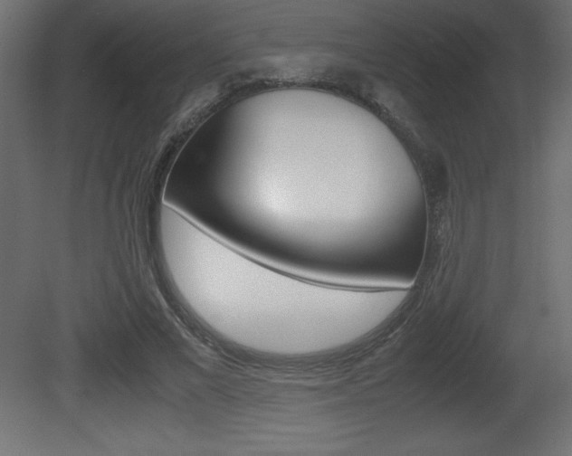 X0000081450685200701121015