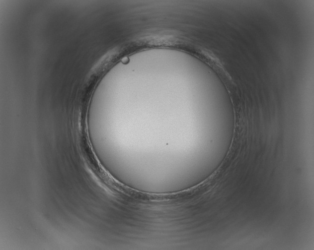 X0000081450686200701121015