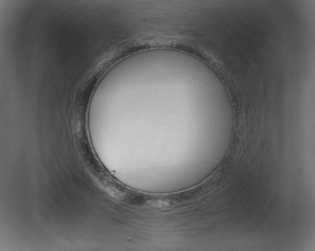 X0000081450687200701121015