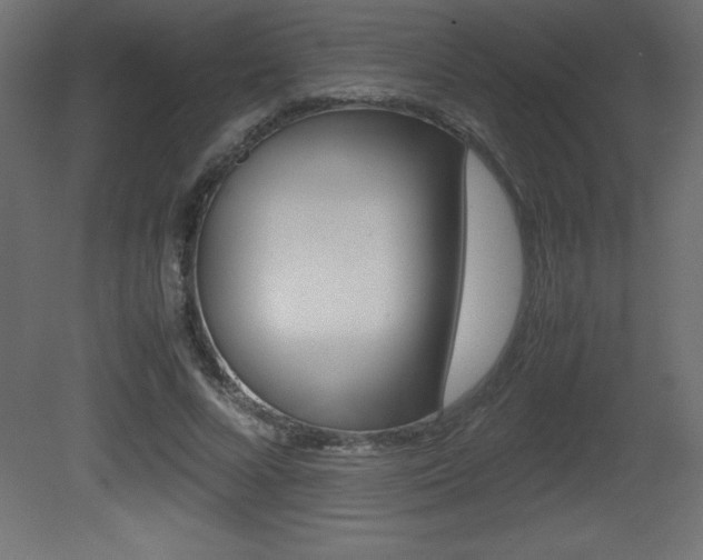 X0000081450688200701121015