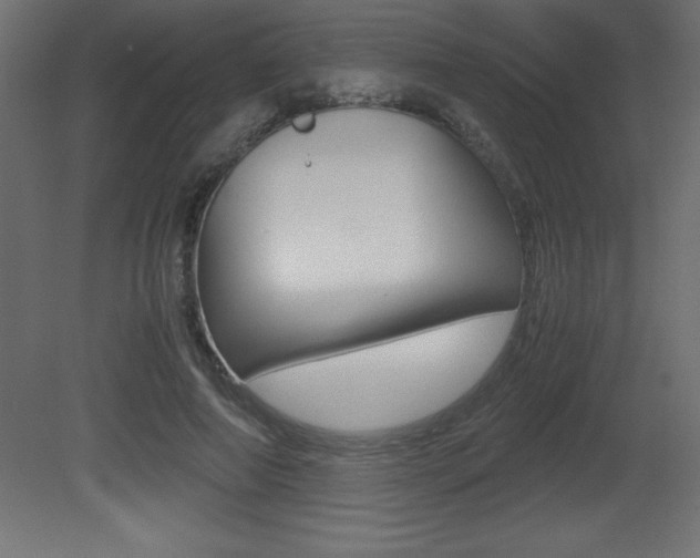X0000081450690200701121015