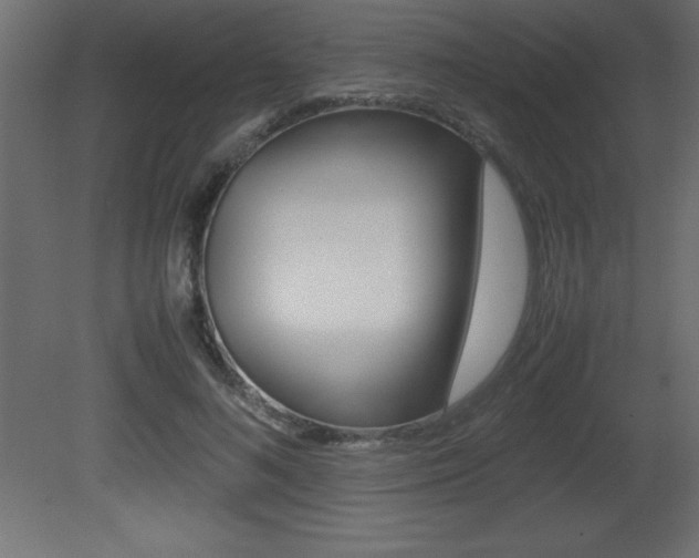 X0000081450692200701121015