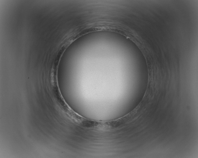 X0000081450696200701121015