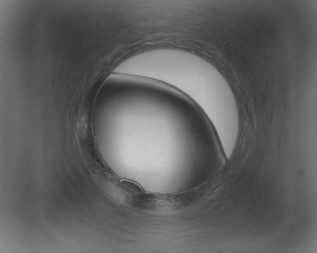 X0000081450697200701121015
