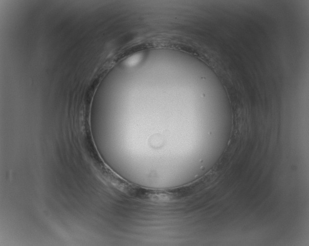 X0000081450698200701121015