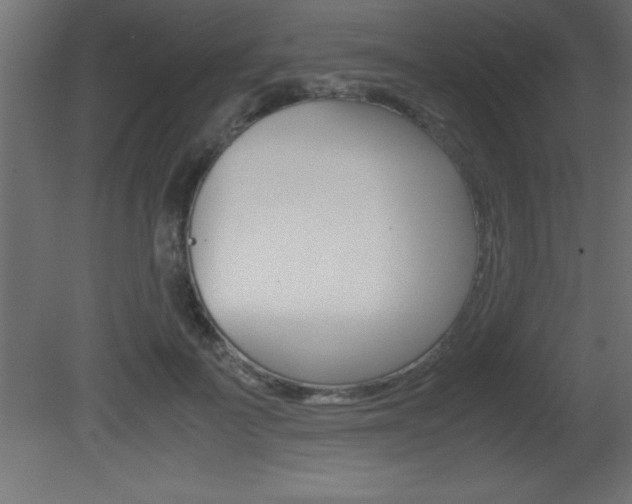 X0000081450699200701121015