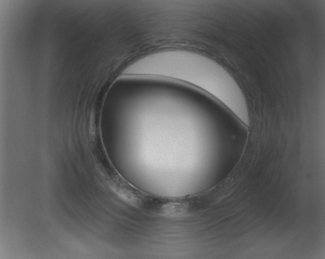 X0000081450700200701121015