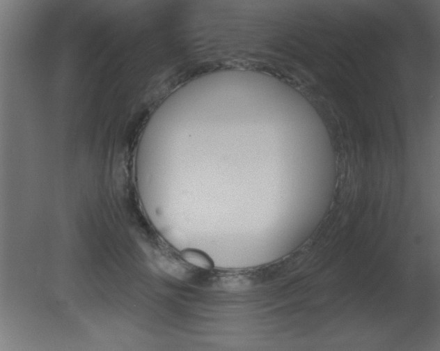 X0000081450702200701121015
