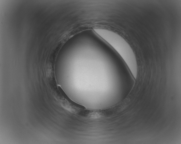 X0000081450704200701121015