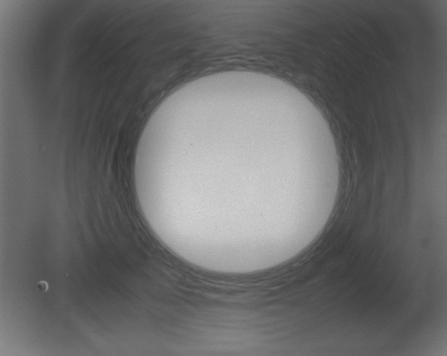X0000081450705200701121015