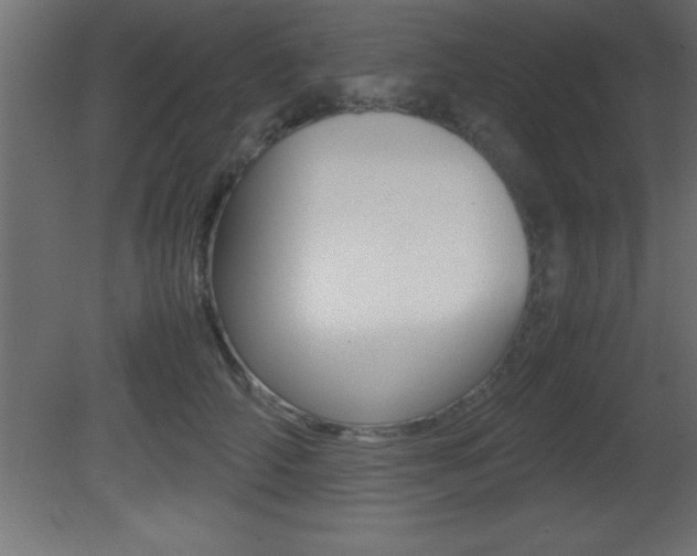 X0000081450706200701121015