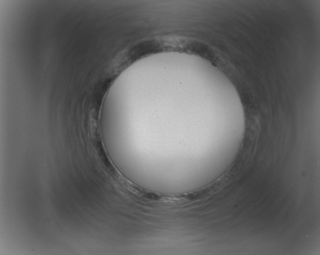 X0000081450707200701121015