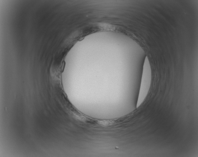 X0000081450713200701121015