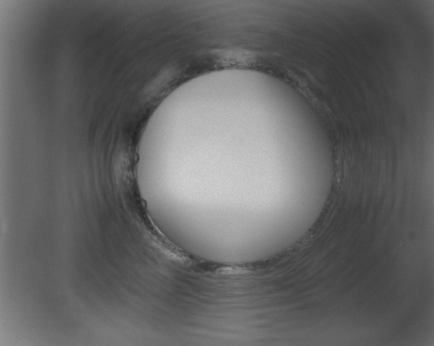 X0000081450714200701121015