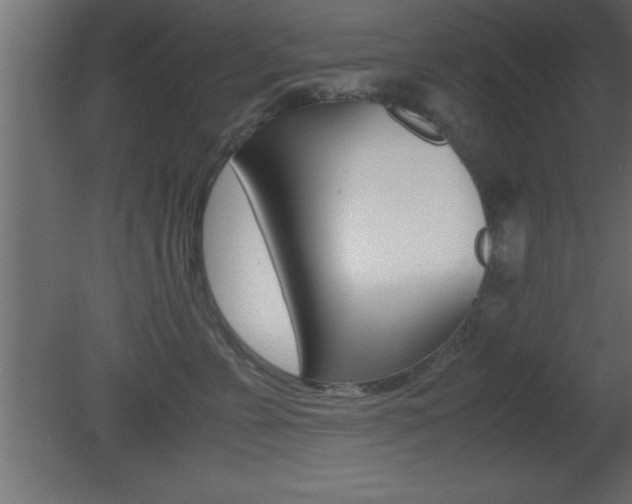X0000081450715200701121015