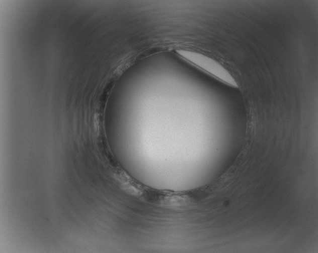 X0000081450716200701121015