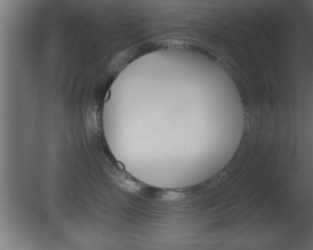 X0000081450718200701121015