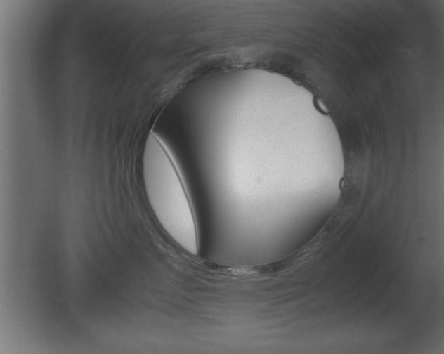 X0000081450719200701121015