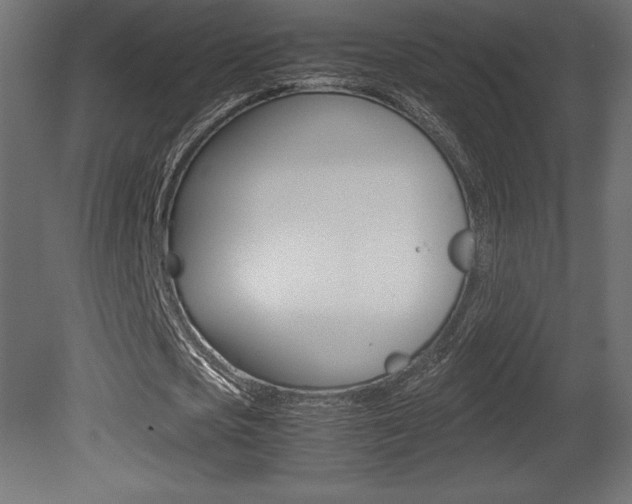 X0000081450721200701121014