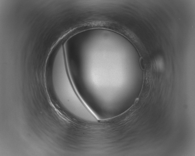 X0000081450722200701121014