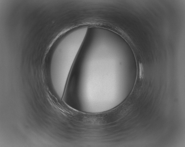 X0000081450723200701121014