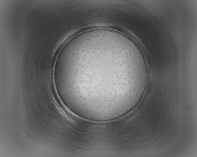 X0000081450725200701121014
