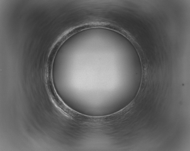 X0000081450726200701121014
