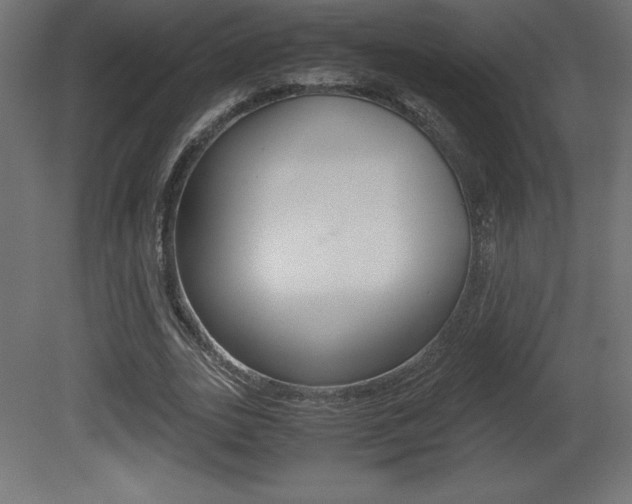 X0000081450727200701121014