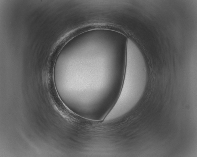 X0000081450728200701121014