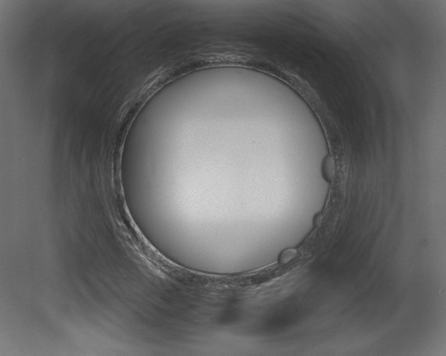 X0000081450729200701121014