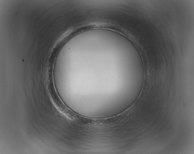 X0000081450730200701121014