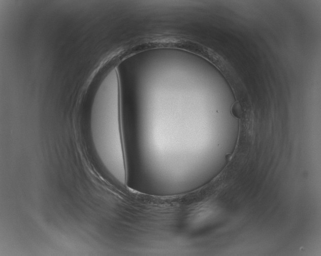 X0000081450731200701121014