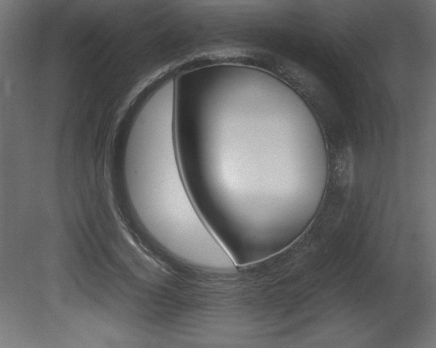 X0000081450732200701121014