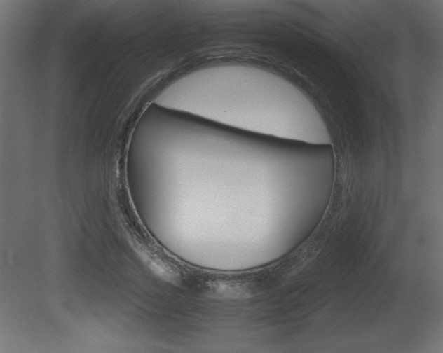 X0000081450733200701121014
