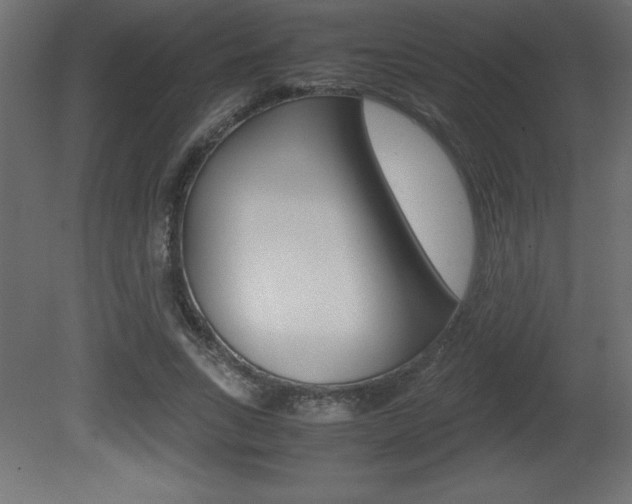 X0000081450735200701121014