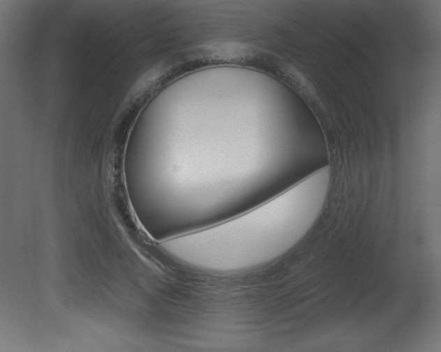 X0000081450736200701121014