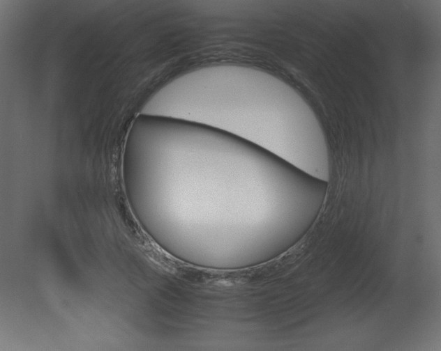 X0000081450737200701121014