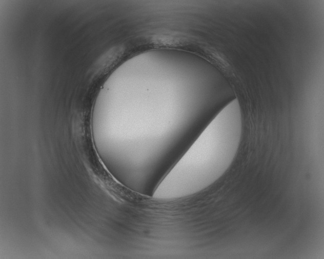 X0000081450738200701121014