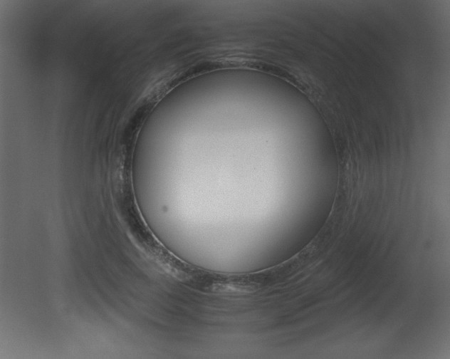 X0000081450739200701121014