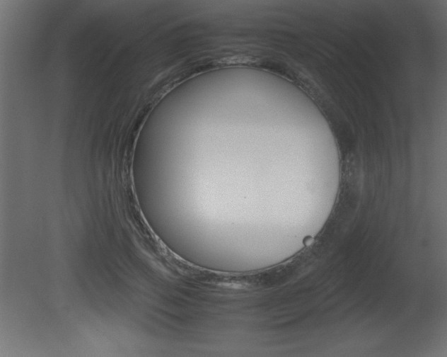 X0000081450741200701121014