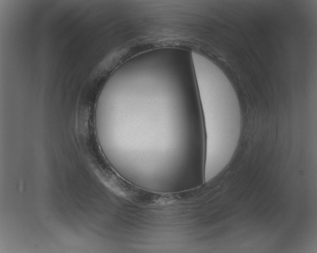 X0000081450742200701121014