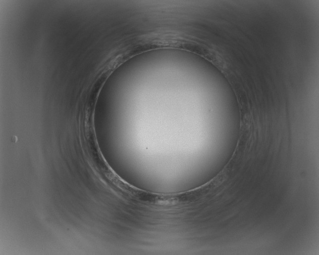 X0000081450744200701121014