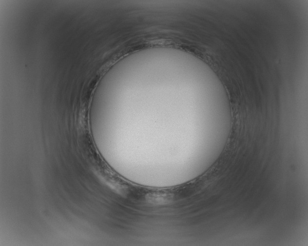 X0000081450745200701121014