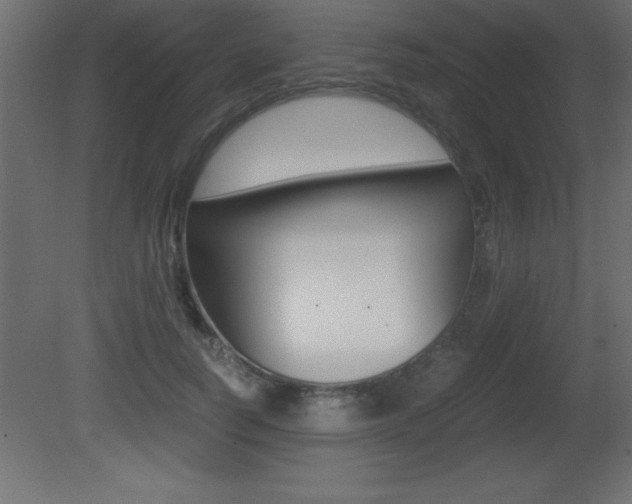 X0000081450746200701121014
