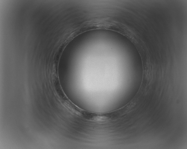 X0000081450748200701121014
